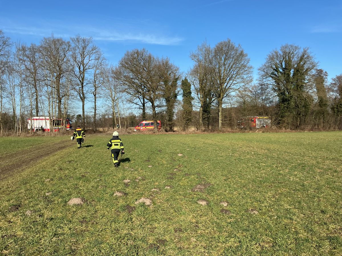 26-03-03 11-08-59 0008